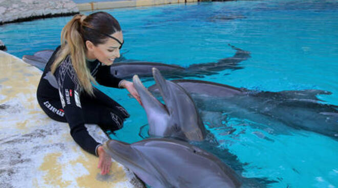 Gessica Notaro torna ad addestrare i delfini a Riccione