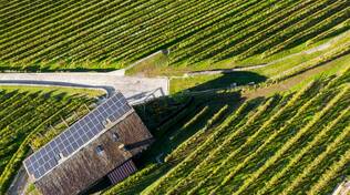 fotovoltaico agricoltura