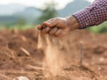 siccità agricoltura