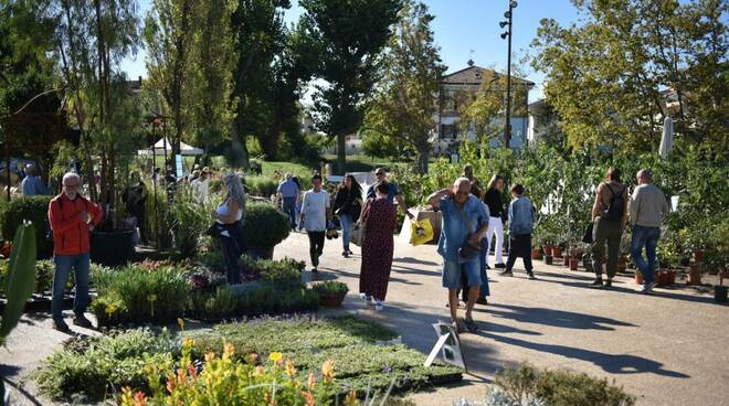 giardini di domenica