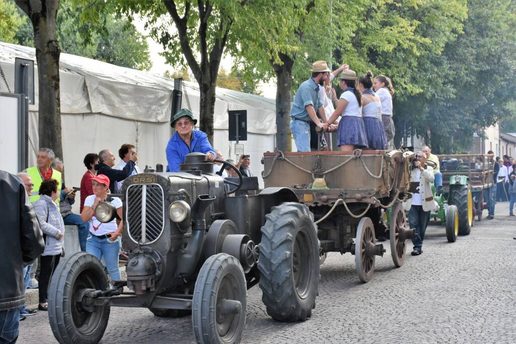 Sagra del vino tipico romagnolo