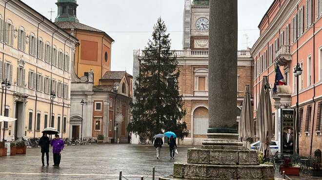 Albero di Natale