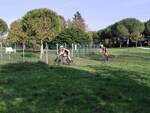 misano ciclocross