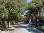 viale italia - marina romea