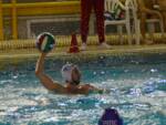 ravenna pallanuoto