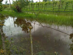 campagne coldiretti alluvione romagna