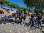 Polizia Ravenna cavallo_1