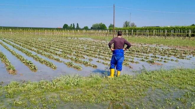 alluvione e agricoltura