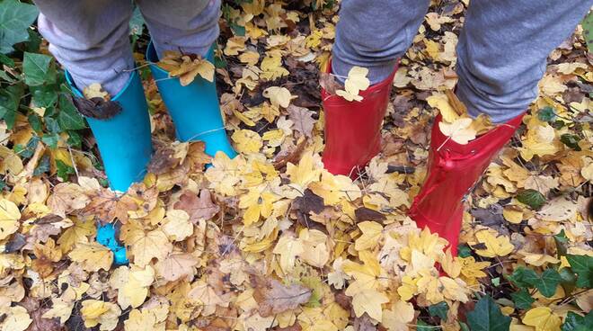 podere autunno