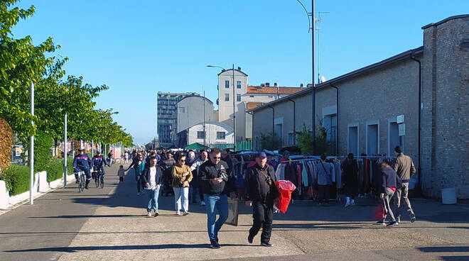 pulce d'acqua mercatino