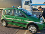 carabinieri forestali rimini