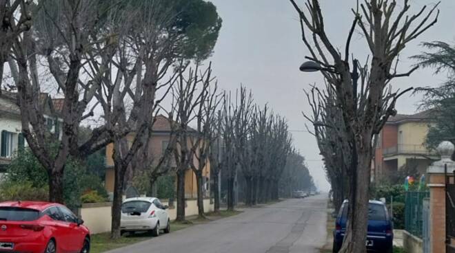 potatura alberi don minzoni