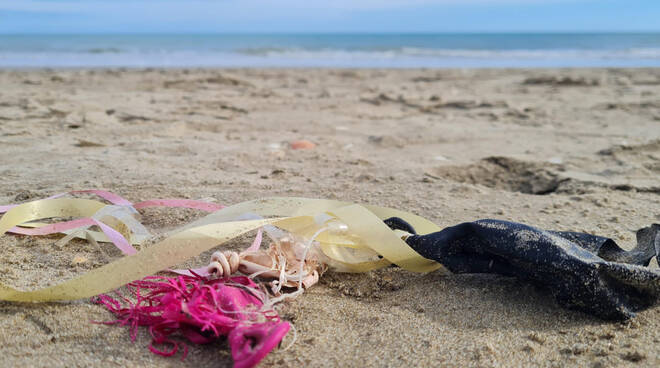 pulizia spiaggia - foto Silvia Muzzi.