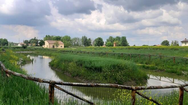 prati verdi campagna