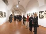 Mostra Cesena