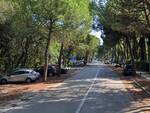 viale delle nazioni marina di ravenna