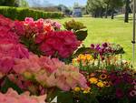 fiori parco teodorico