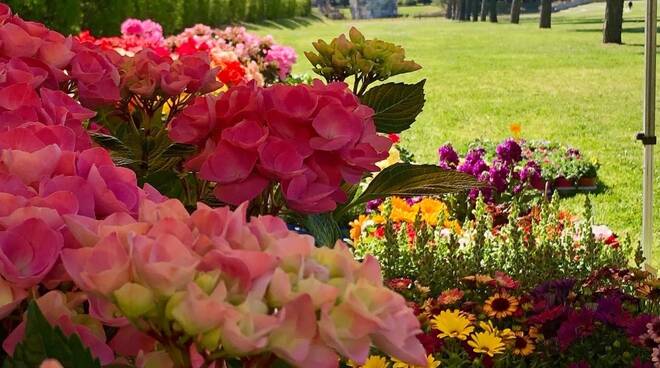 fiori parco teodorico