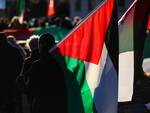 protesta palestina